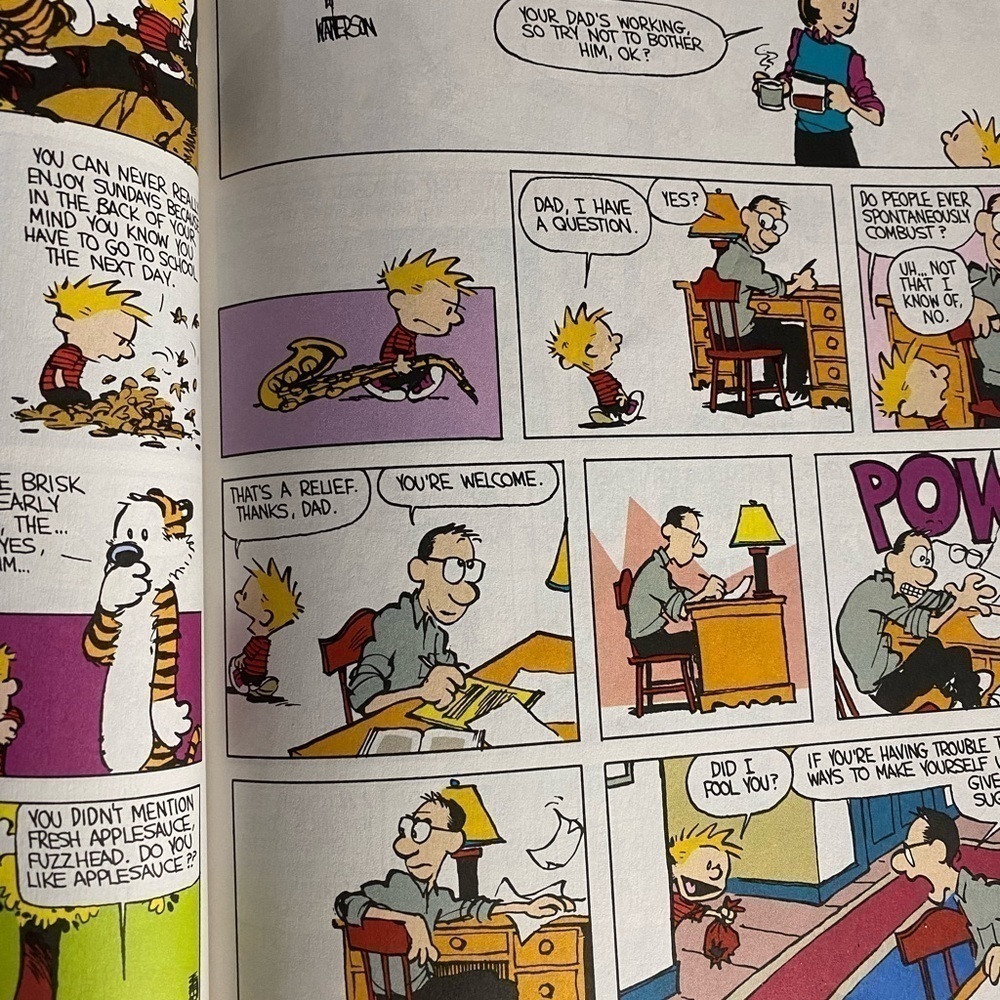 Vintage Calvin & Hobbs Comic Book - Picture 2 of 5